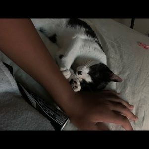 Meet your Posher, Howard